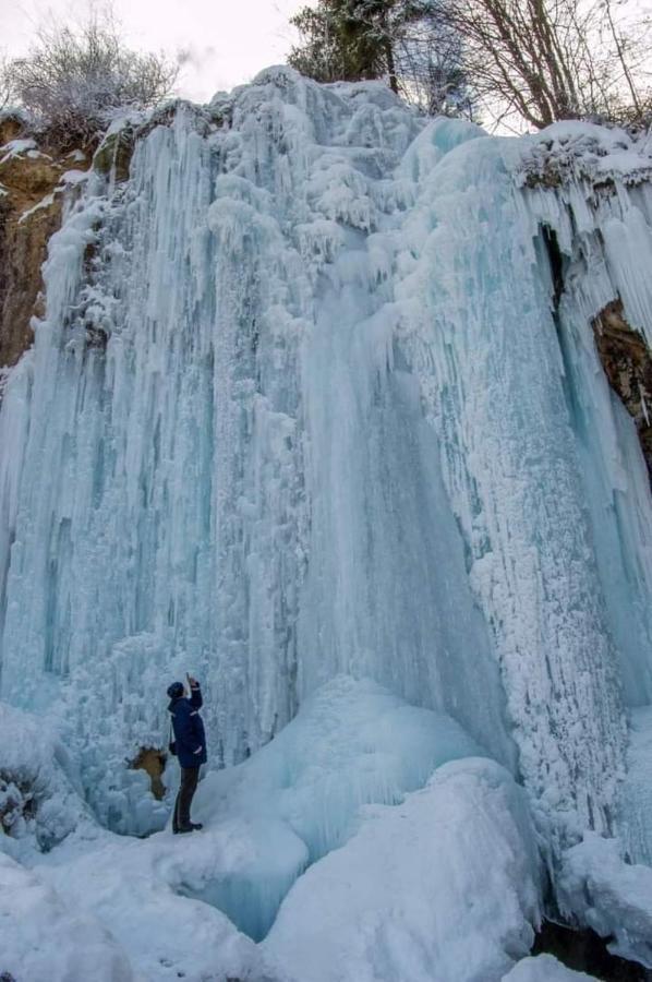 Вилла Deea Cascada Vidra  Экстерьер фото